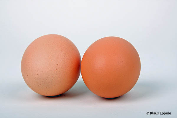 Eier 1 von Klaus Eppele