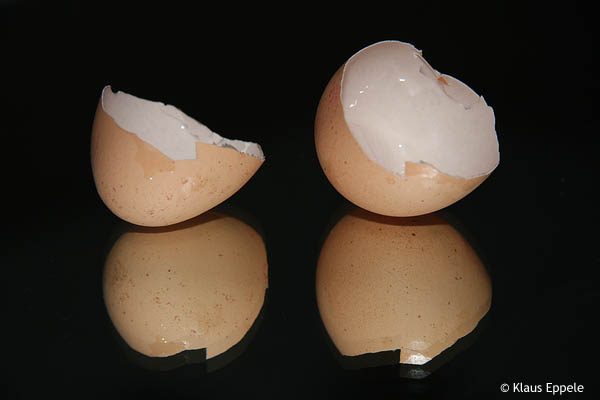 Eier 4 von Klaus Eppele