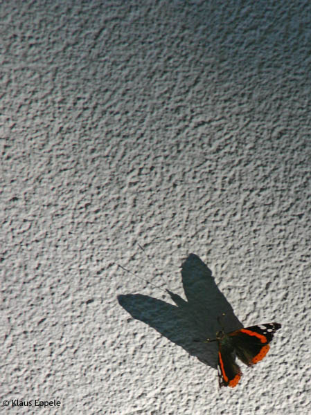 Tiere 3 von Klaus Eppele
