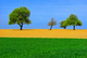Wettersbacher Landschaft von Klaus Eppele