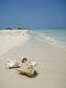 Muscheln am Strand von Klaus Eppele